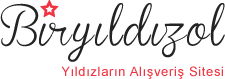 biryildizol.com